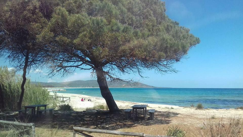 Appartamento Vecchia Pineta San Giovanni  Eksteriør bilde