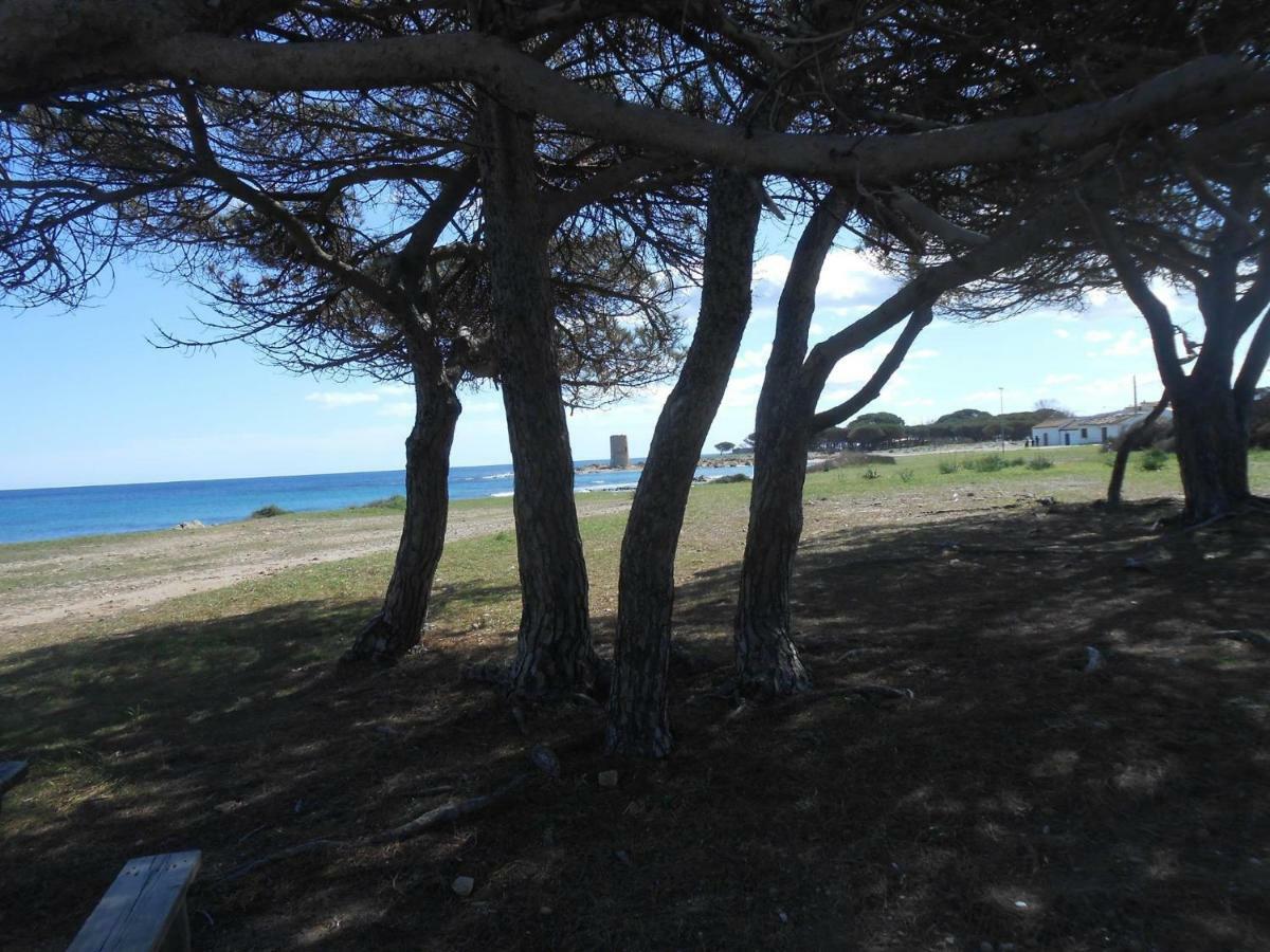 Appartamento Vecchia Pineta San Giovanni  Eksteriør bilde